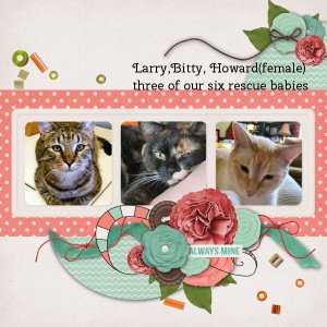 Kitties!