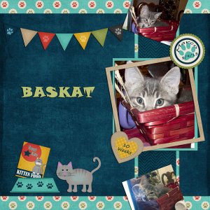Baskat