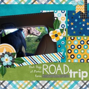 Road Trip
