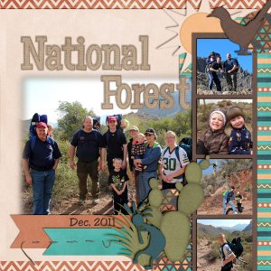 Tonto National Forest