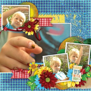 Lady Bug