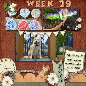 week-29-2013