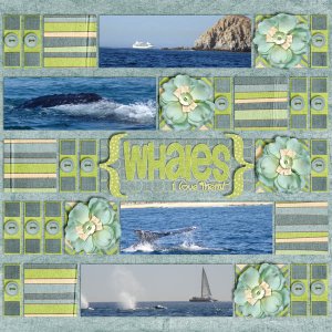 Whales...I love them!