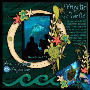Myrtle The Turtle