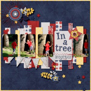 In a Tree
