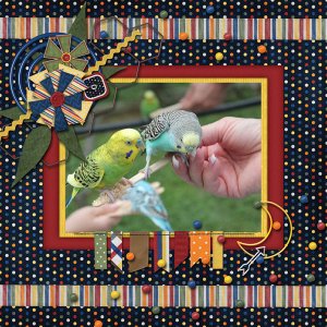 Birdies