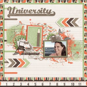 3rd Year in the Doctoral Program