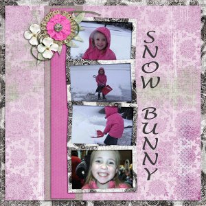Snow Bunny
