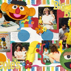 Nicole's Big Bird Bday