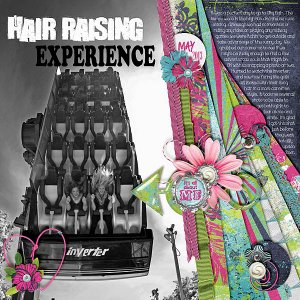 Hair Raising Experience