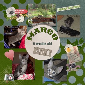 9 Weeks