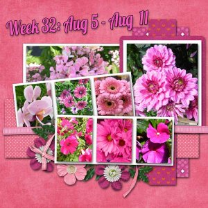 week-32-2013