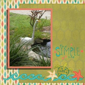 Sanibel Island Egret