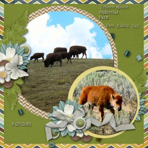 Yellowstone-FREE Day