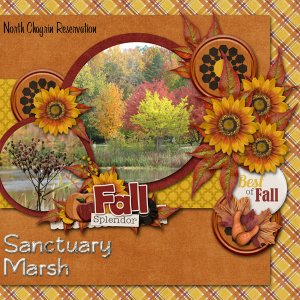 Sanctuary Marsh