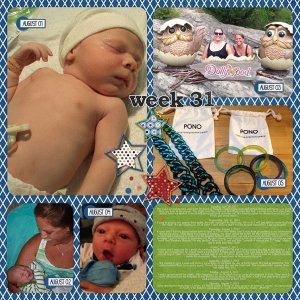 Week 31