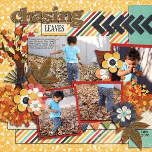 Chasing Leaves