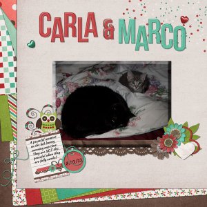 Carla + Marco