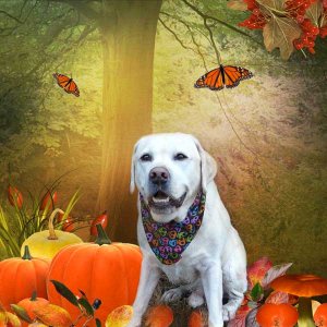 autumn is on its way