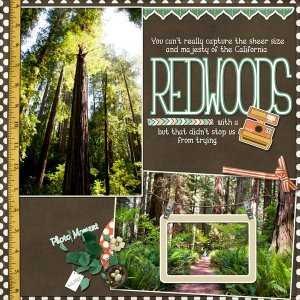Redwoods
