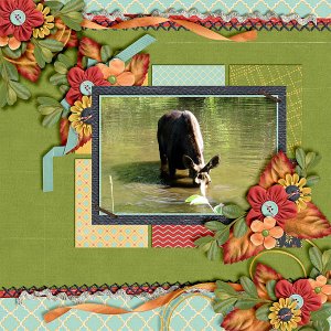 Moose