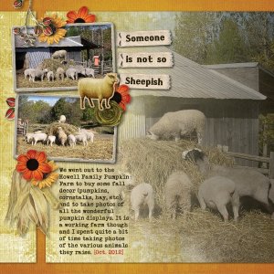 Not so Sheepish