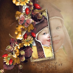Beauty of autumn
