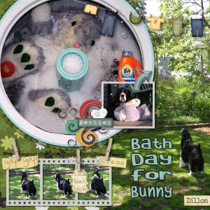 Bath Day for Bunny