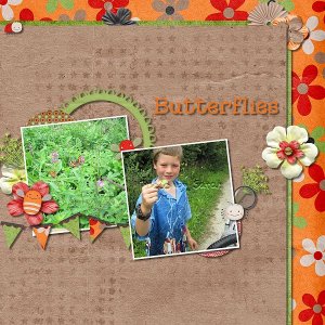 Butterflies
