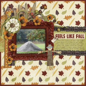 Feels Like Fall