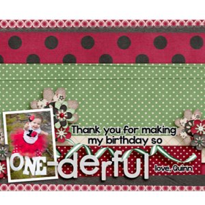 Ladybug bag toppers