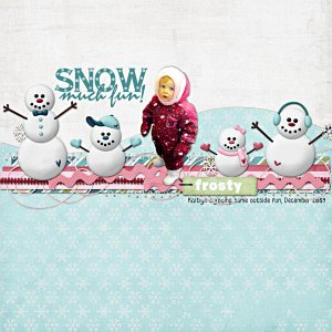 Snow Much Fun