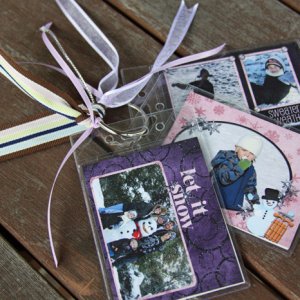 Mini Badge Holder Album