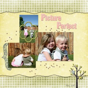 Picture Perfect