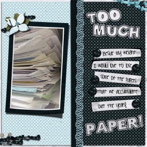 Too Much Paper