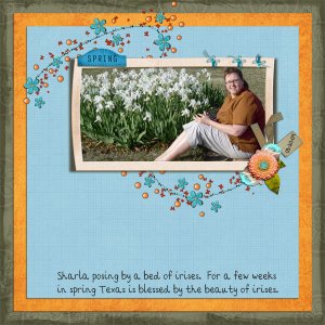 Spring Into Spring 1