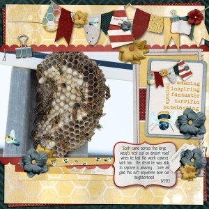Wasp Nest