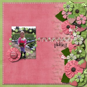 Strawberry Picking