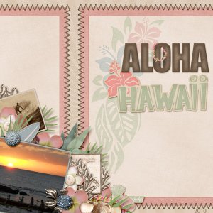 Aloha Hawaii
