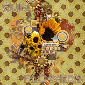 Sunflowers