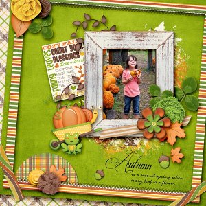 Cozy Fall