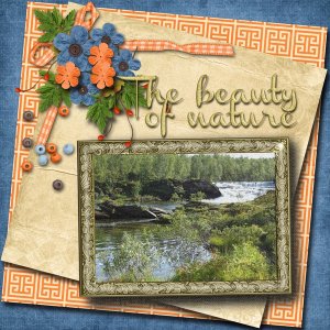 The_beauty_of_nature