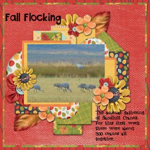 Fall Flocking