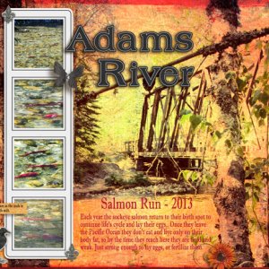 Adams River Salmon Run - pg1
