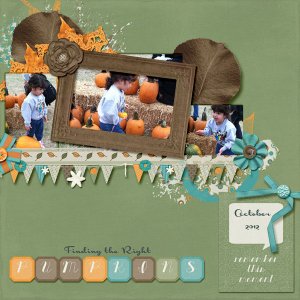Finding the Right Pumpkin