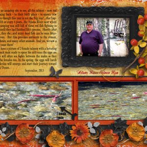 Adams River Salmon Run page 2