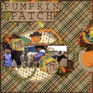 Pumpkin Patch