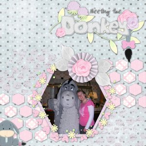 Meeting the Donkey