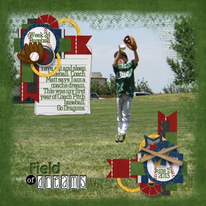 Field of Dreams (Week 24) Baseball