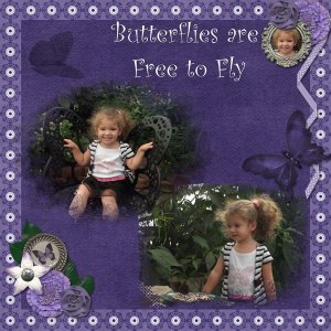 Butterflies are Free to Fly